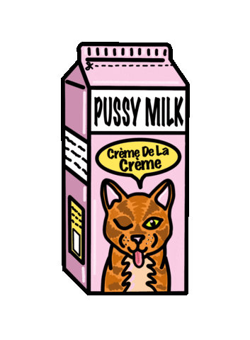 Cat Sticker