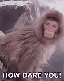 Giphy - How Dare You GIF by moodman