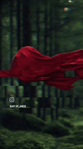 Photography GIF