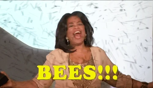 Honey Bee Oprah GIF by Team Coco