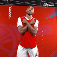 Premier League Football GIF by BT Sport