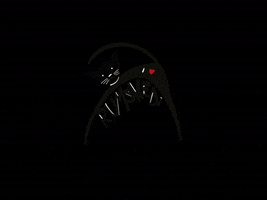 Beckum Rumskedi Schwarzerkater Rumskedikater Iloverumskedi GIF