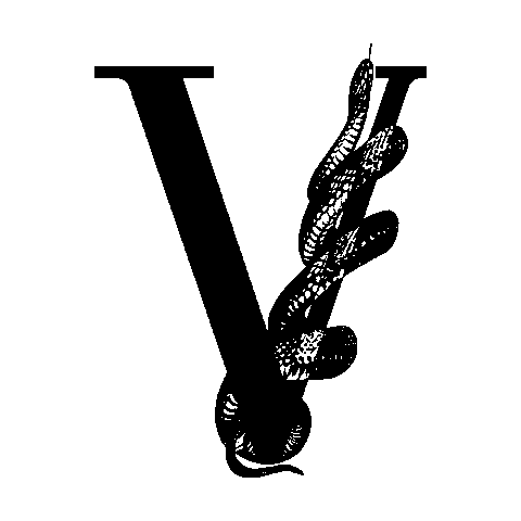 The Vibe Italia Sticker