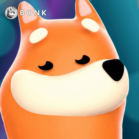 Crypto Web3 GIF by BONK