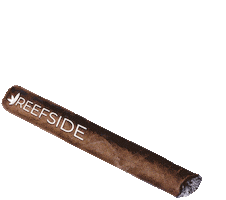 Reefside Sticker