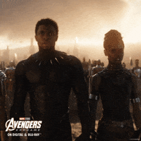 Black Panther Film GIF by Marvel Studios