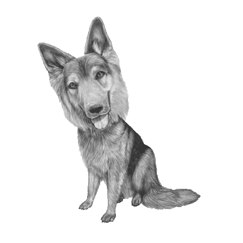 Dog Puppy Sticker by AniCura Nederland