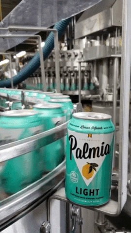 Roller Coaster Summer GIF by Palmia Beer