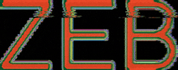 zebfashion GIF