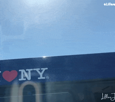 New York Reaction GIF by Lillee Jean