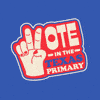 Vote in the Texas primary