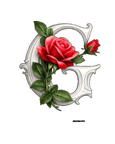 Rose Valentin Sticker by Gunoven