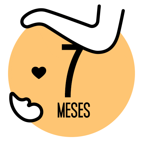 Gravidas Sticker by IN8 Home