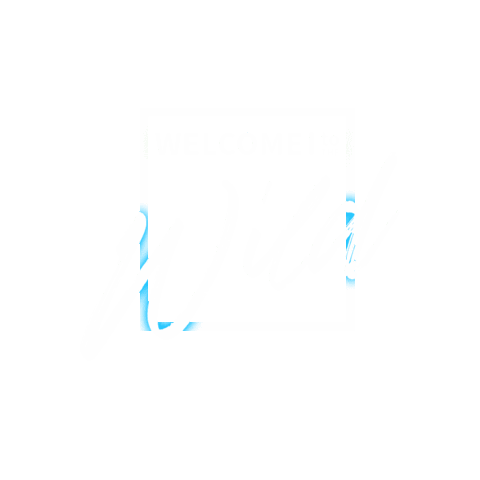 Jungle Sticker by Victory Church