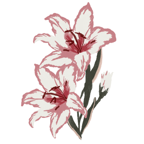 Flower Spring Sticker