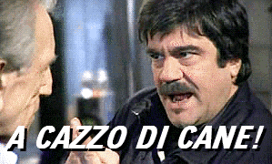 giphy.gif?cid=790b7611dc3a67e37f164ec933