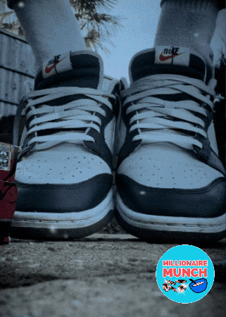 Will Stranger Things GIF