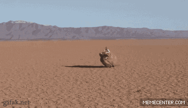 Running Gifs Primo Gif Latest Animated Gifs