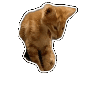 Cat Sticker by Luna y el Tarot