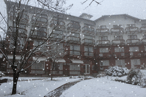 hotelalpestre  GIF