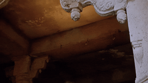 giphy.gif?cid=6c09b952jvg14uqlemkoof5njt