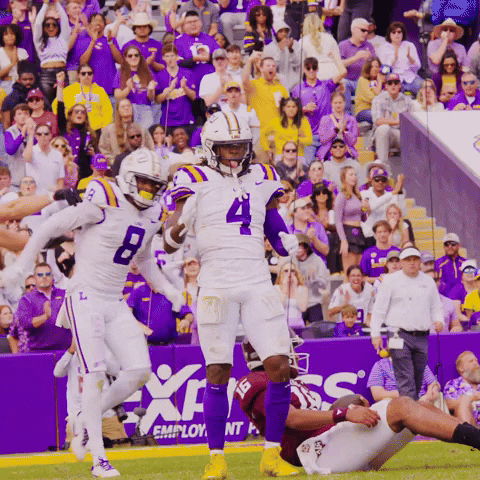 Happy College Football GIF by LSU Tigers