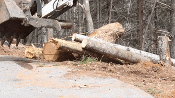 Heavy Equipment Landscaping GIF by JC Property Professionals