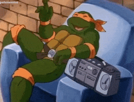 Teenage Mutant Ninja Turtles Cartoon GIF