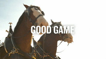 Good Game GIF by Budweiser