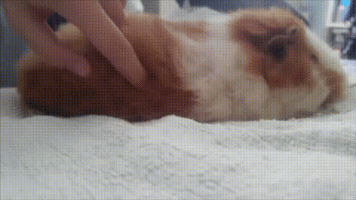 Annoyed GIF