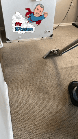 Carpet Cleaning GIF by Mr. Steam