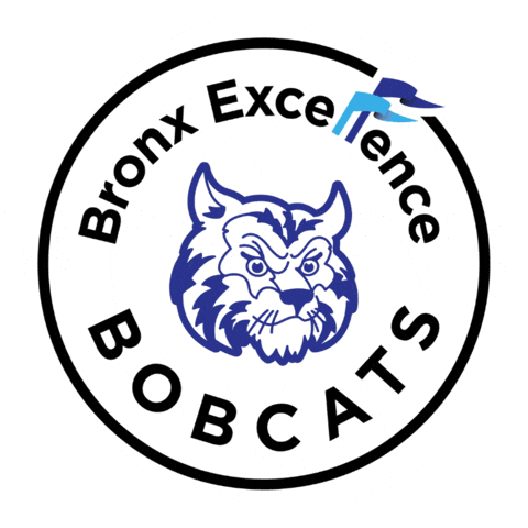 Excellence Community Schools Sticker