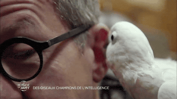 france-3  GIF