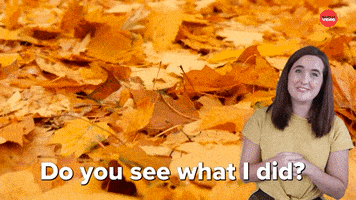 Pumpkin Spice Fall GIF by BuzzFeed