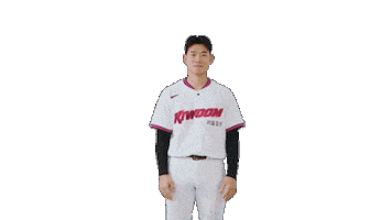 Kbo Sticker by Kiwoom Heroes Baseball Club