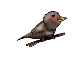 Bird Fly Sticker