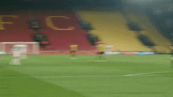 The Man Football GIF by QPR FC
