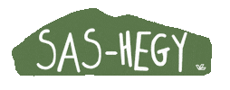 Park Sas Sticker