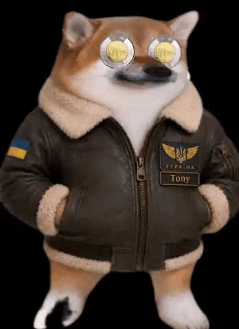 GIF by Toonie Tuesday