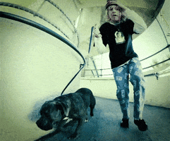 hellcat records puppy GIF by Epitaph Records