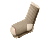 Canadian Lacrosse League Sticker