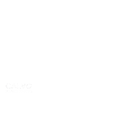 CalvoBR Sticker