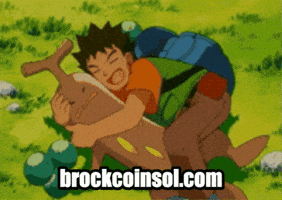 Brock Coin GIF