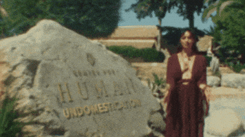 Wolf GIF by Lobos 1707 Tequila