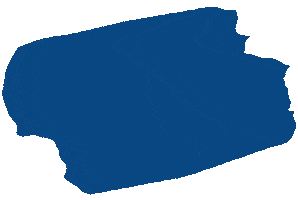 Dinovafarben Sticker by Dinova