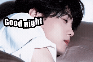 Good Night Sleep GIF