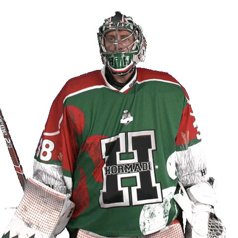 Anglet Hormadi Pays Basque Sticker