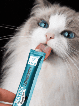 Cat Food GIF by Yeniçağ Veteriner Ecza