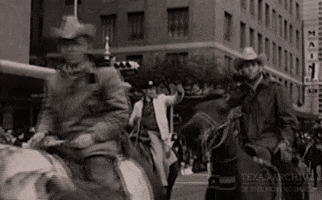 Horse Cowboy GIF by Texas Archive of the Moving Image