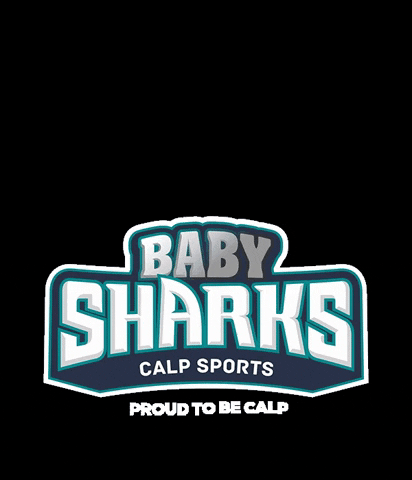 proudobeCALP sharks baby shark calp go sharks GIF